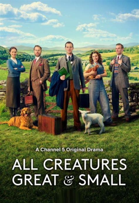 all creatures great and small 2021 torrentz|Todas Las Criaturas Grandes Y Pequenas .